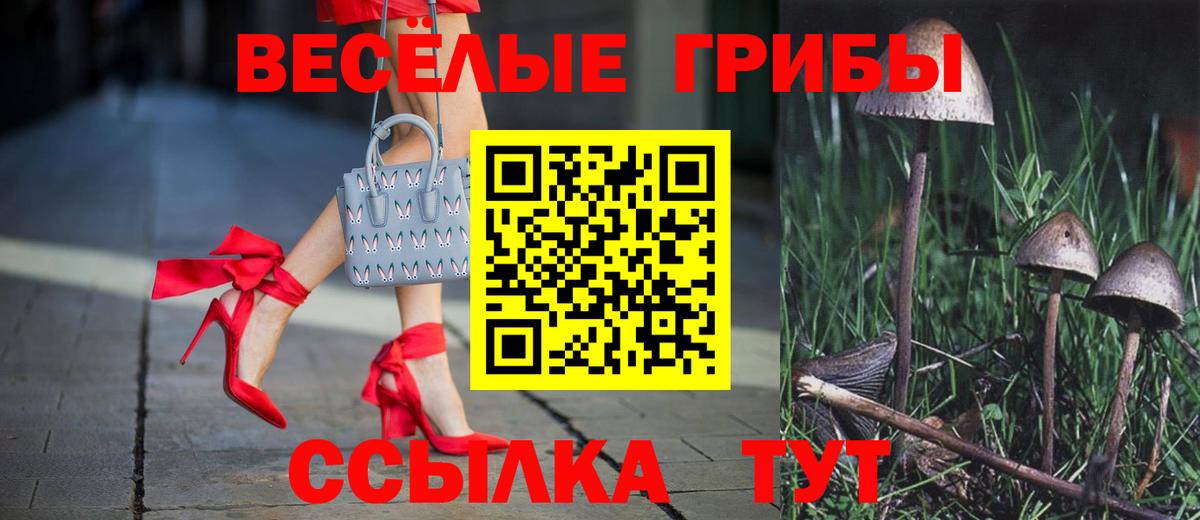 Прокопьевск  Галлюциногенные грибы Psilocybe  Вход с VPN 